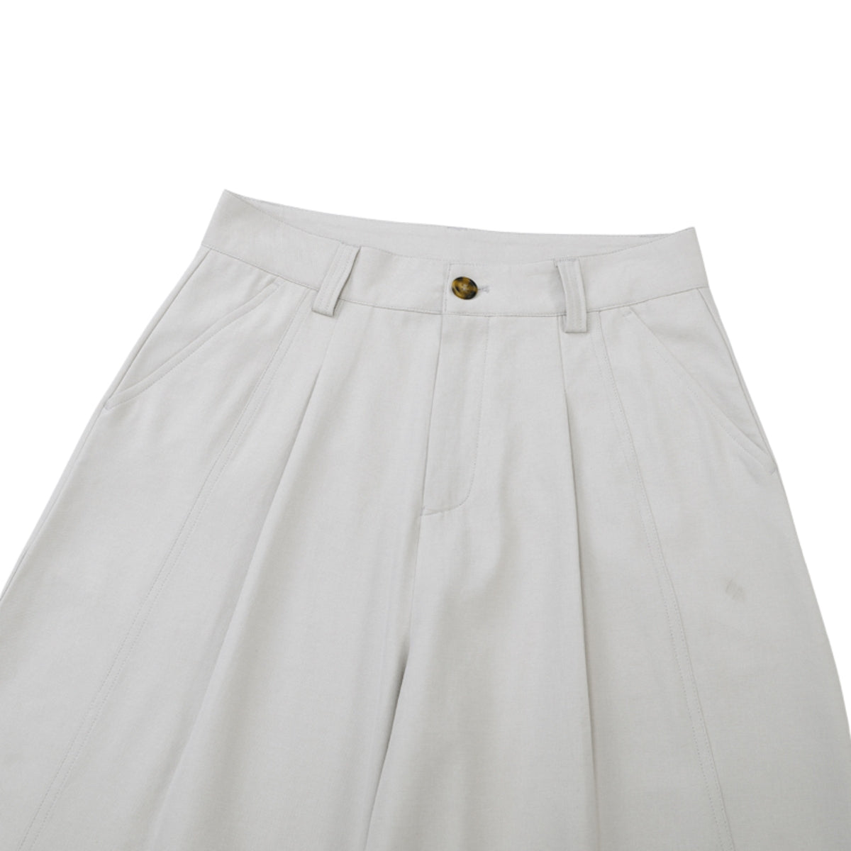 Minimalist Wide-Leg Pleated Pants