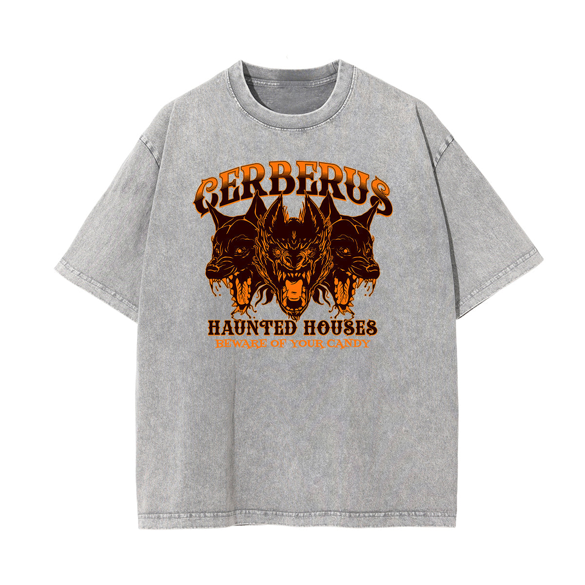 Washed Guardian Graphic Cotton Tee