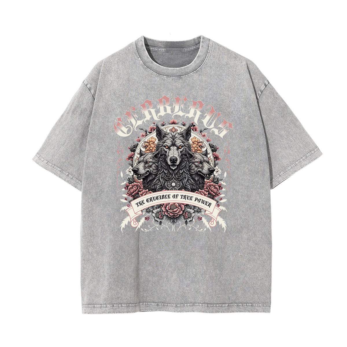 Washed Guardian Graphic Cotton Tee