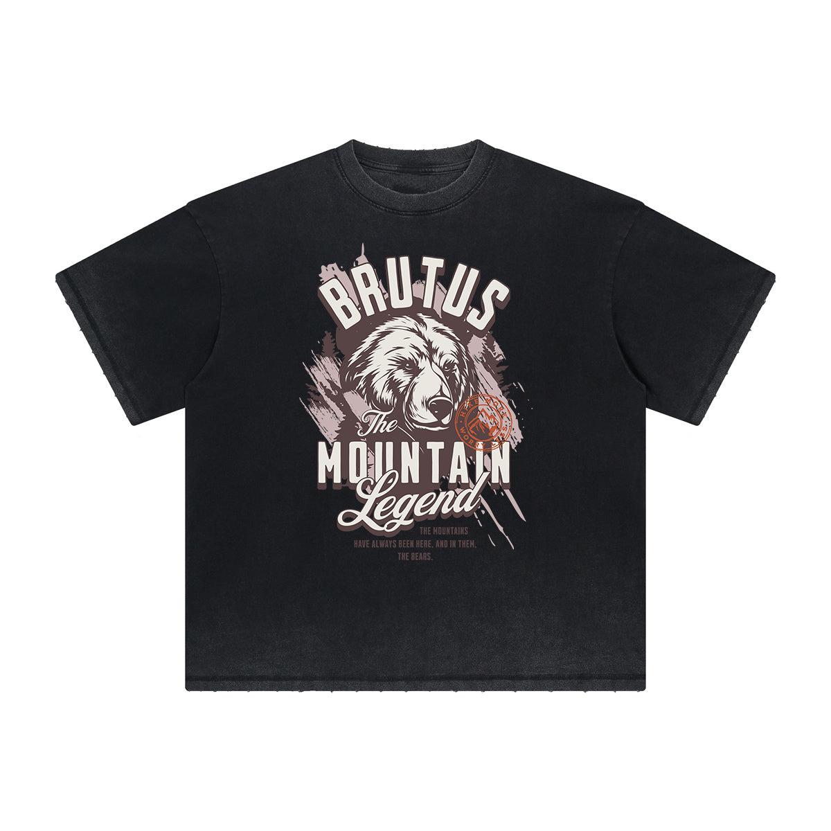 Vintage Frayed Guardian Pattern Tee