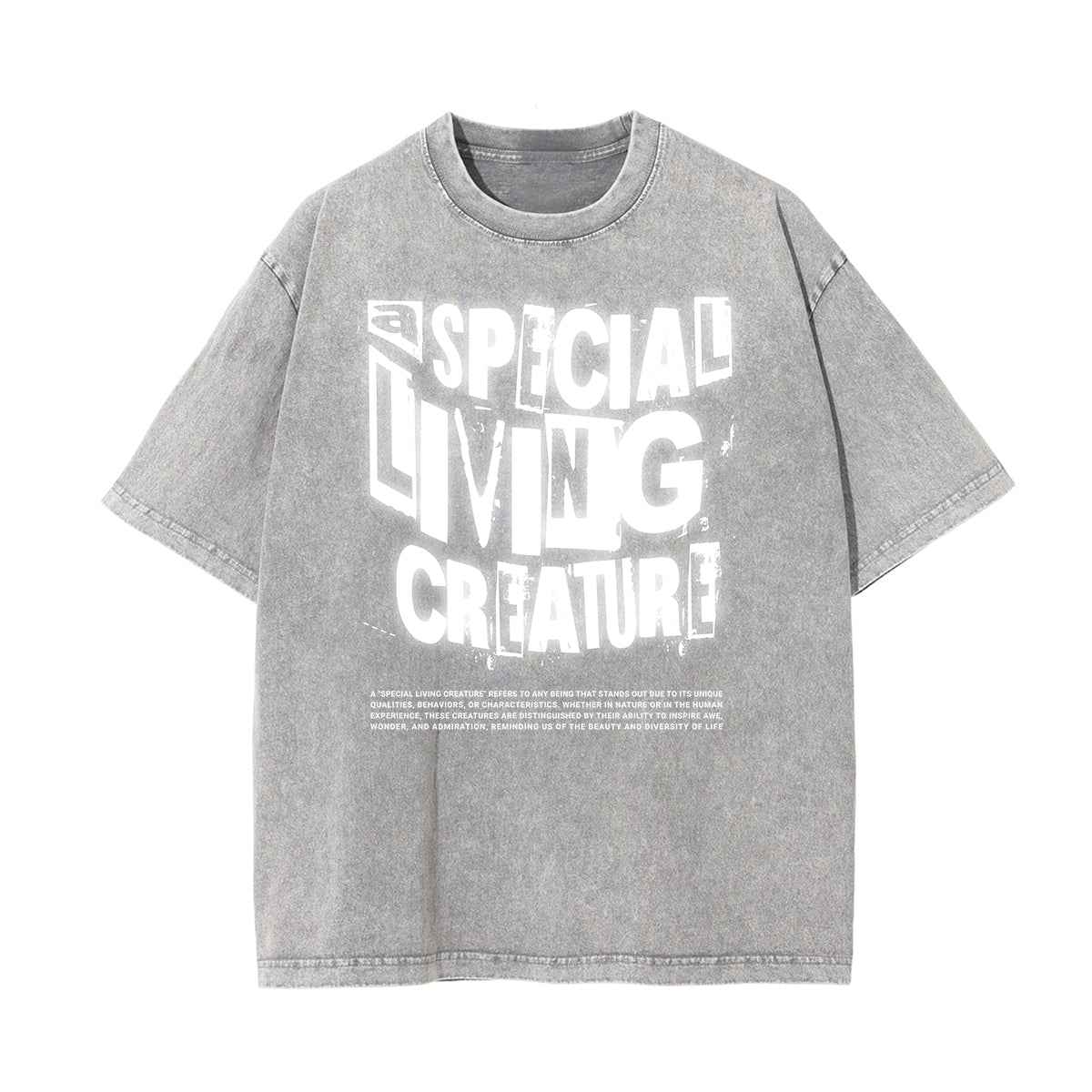 Washed Cotton Graphic Typography T-Shirt