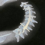 X-Ray Print Number Twelve Black Graphic Oversized Tee